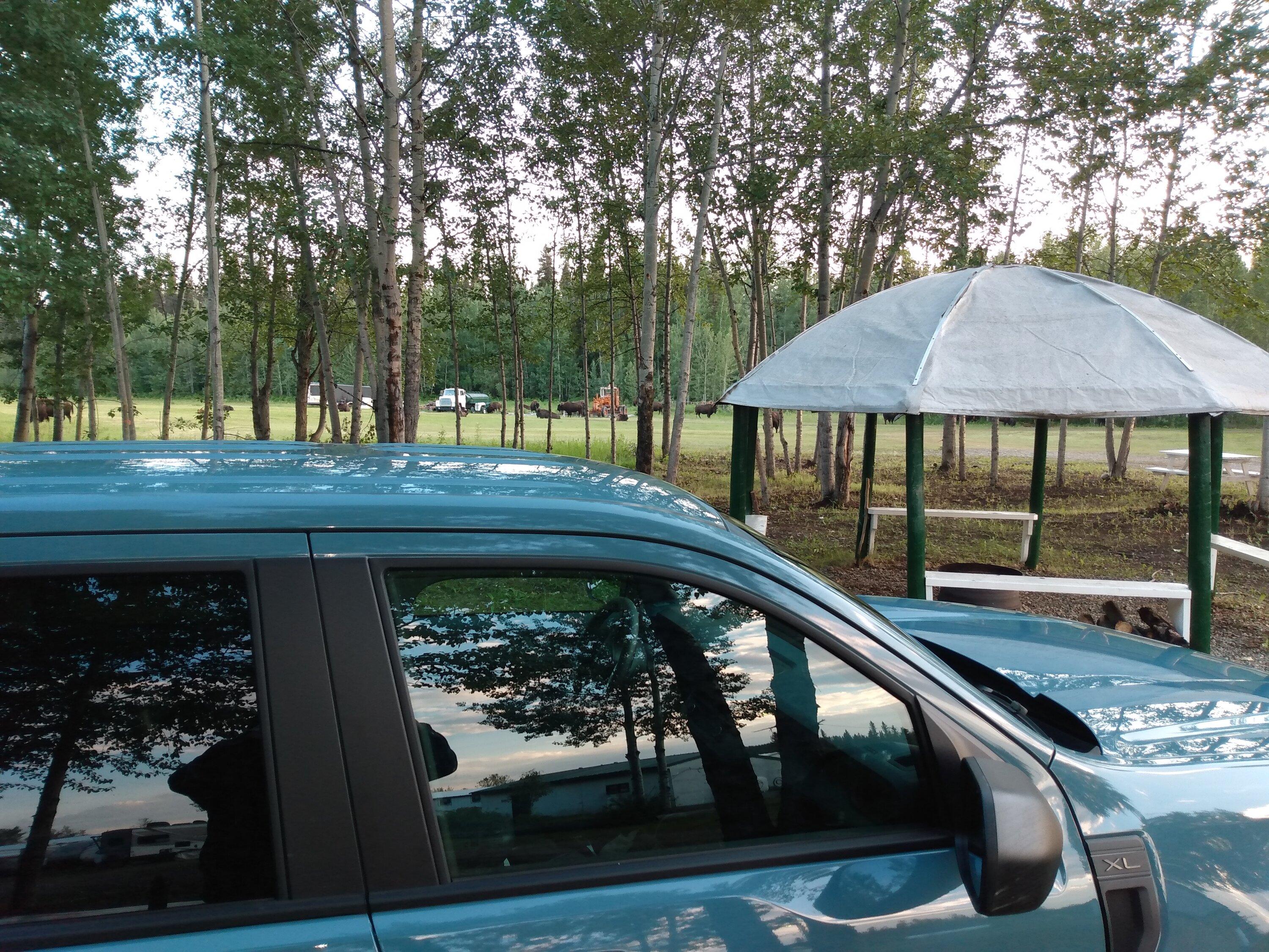 Ford Maverick First time hybrid camping IMG_20220626_204632847
