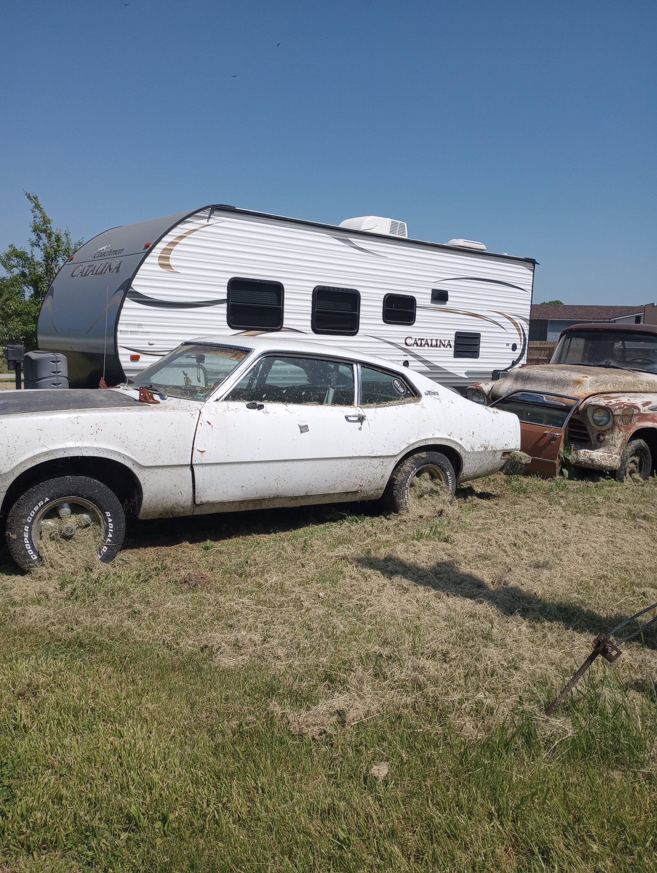 Ford Maverick Mavericks aka unicorns in the wild. IMG_20220514_105529879