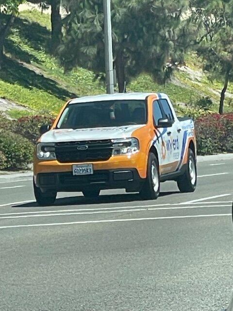 Ford Maverick Mavericks in the wild IMG_6608