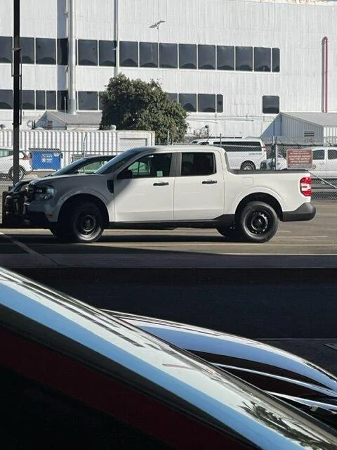Ford Maverick Mavericks in the wild IMG_6797