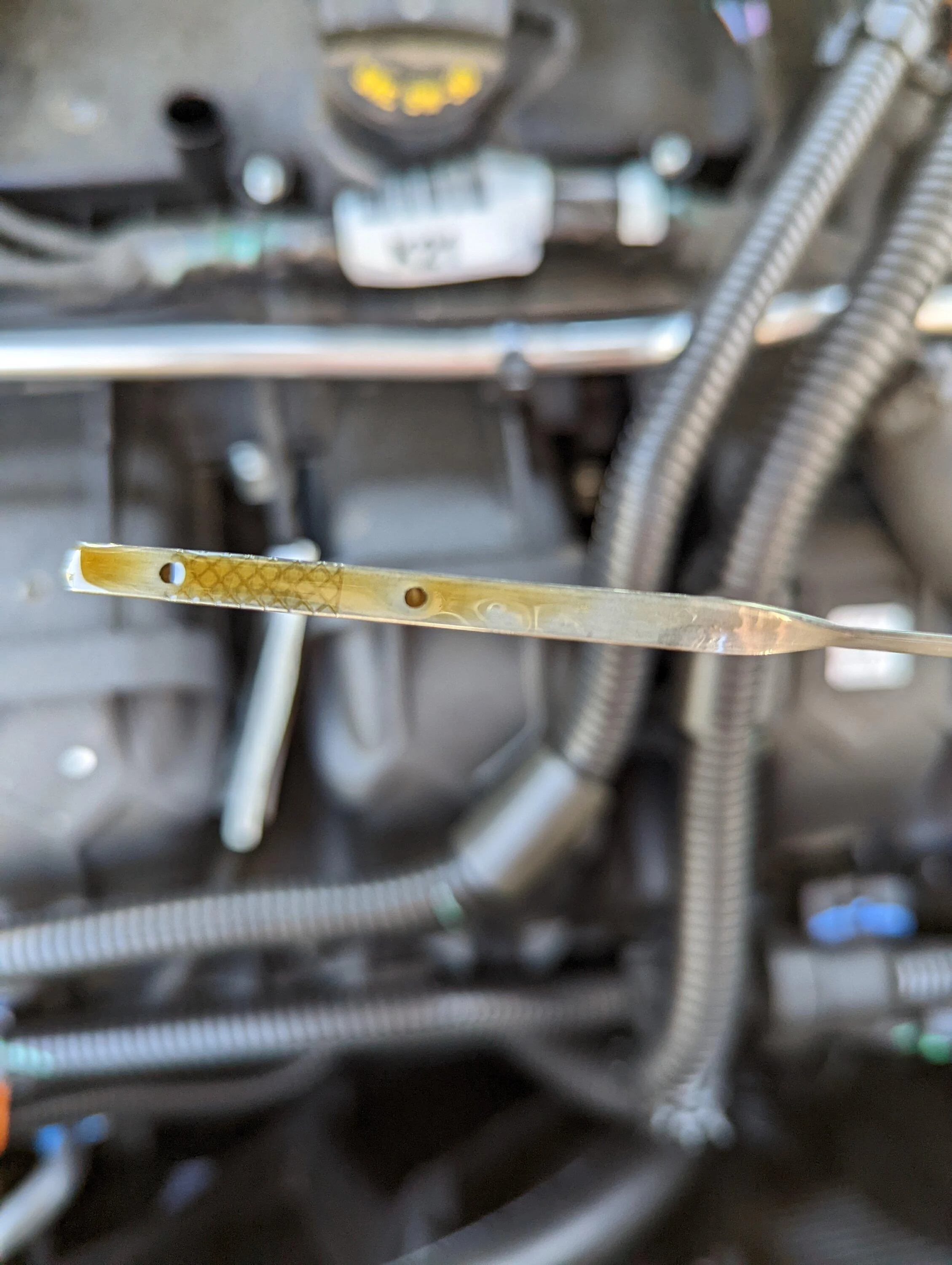 Ford Maverick Oil Change Mystery! PXL_20220618_192349366