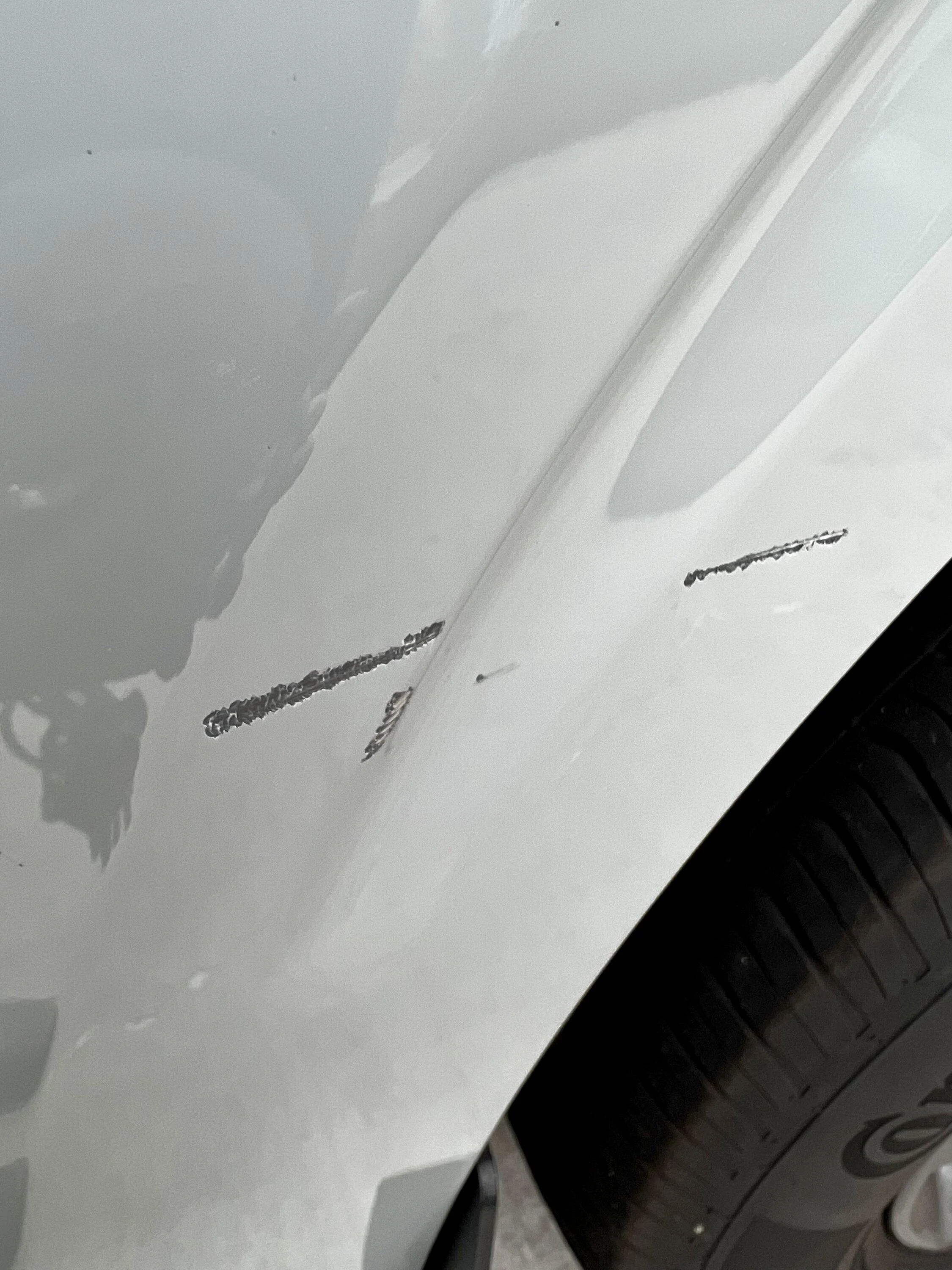 Ford Maverick My first scratches...ugh B004188D-32A5-4864-977E-BF902EB6C3B9