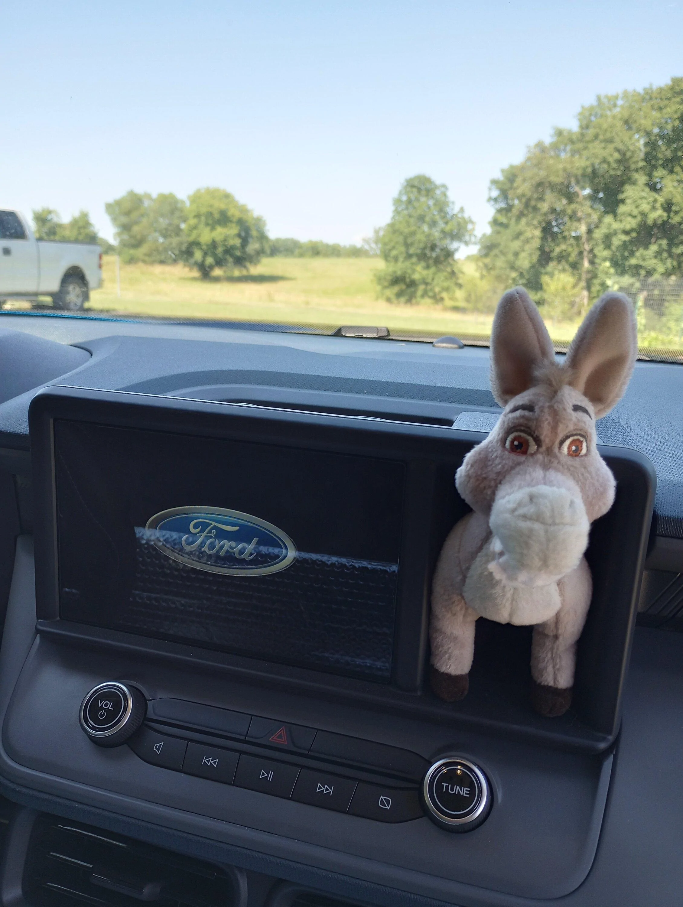 Ford Maverick Dash cubby hole -- what's in yours? 📸 IMG_20220713_163852067_HDR