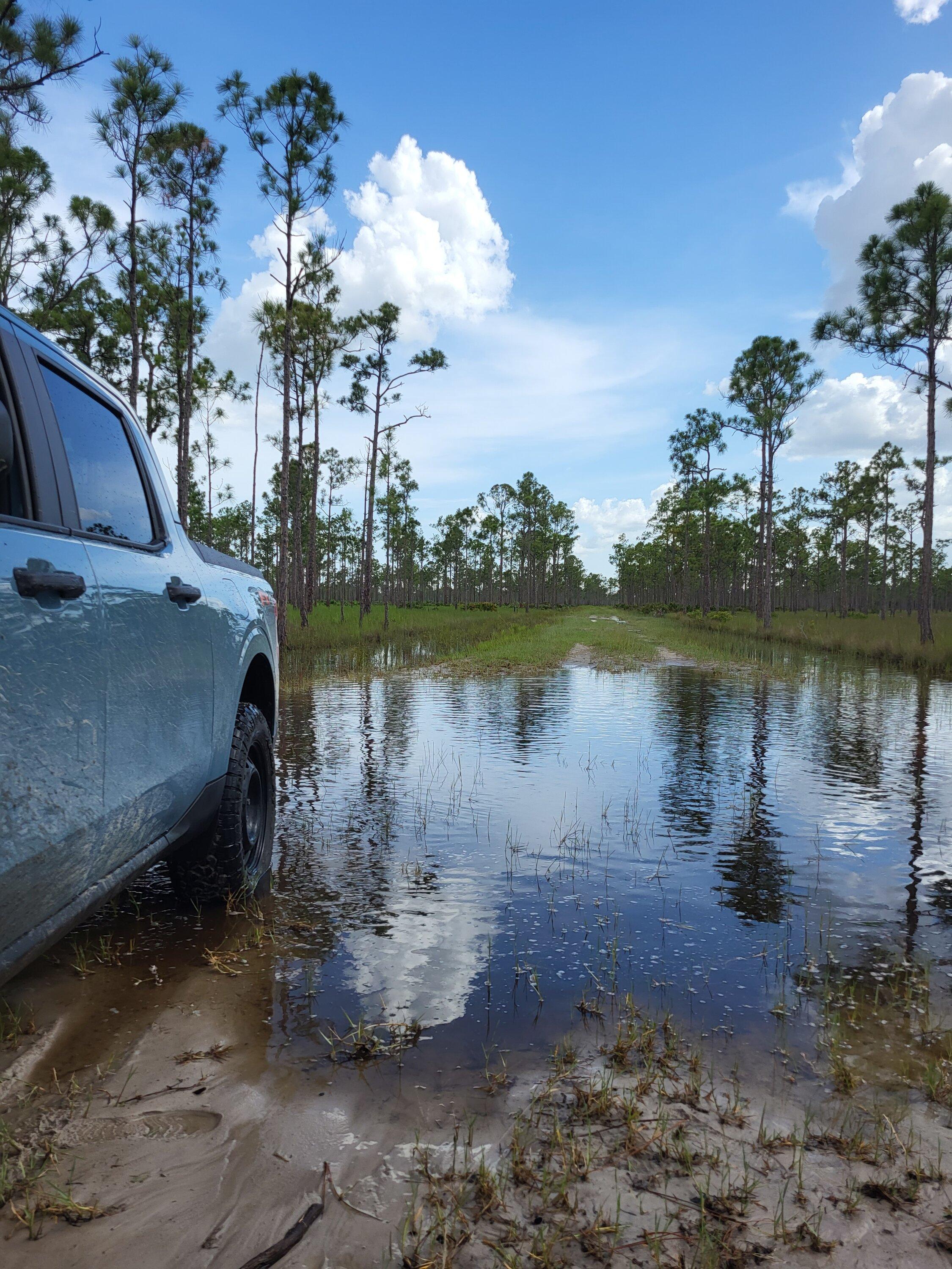 Ford Maverick Offroad exploring Florida Wetlands with Maverick XL 20220718_1653546781832564235197732_large