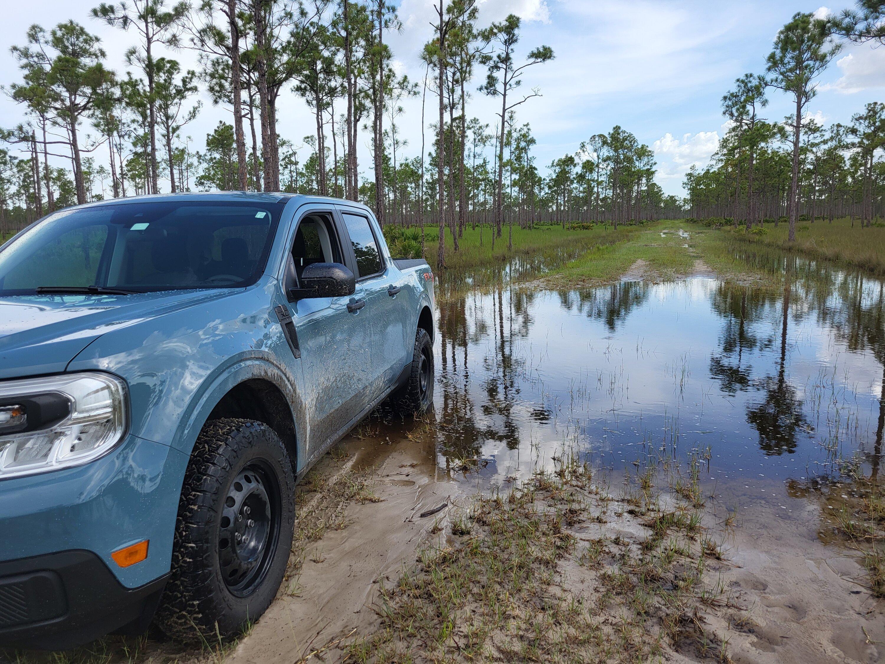 Ford Maverick Offroad exploring Florida Wetlands with Maverick XL 20220718_165435954466916847205853_large