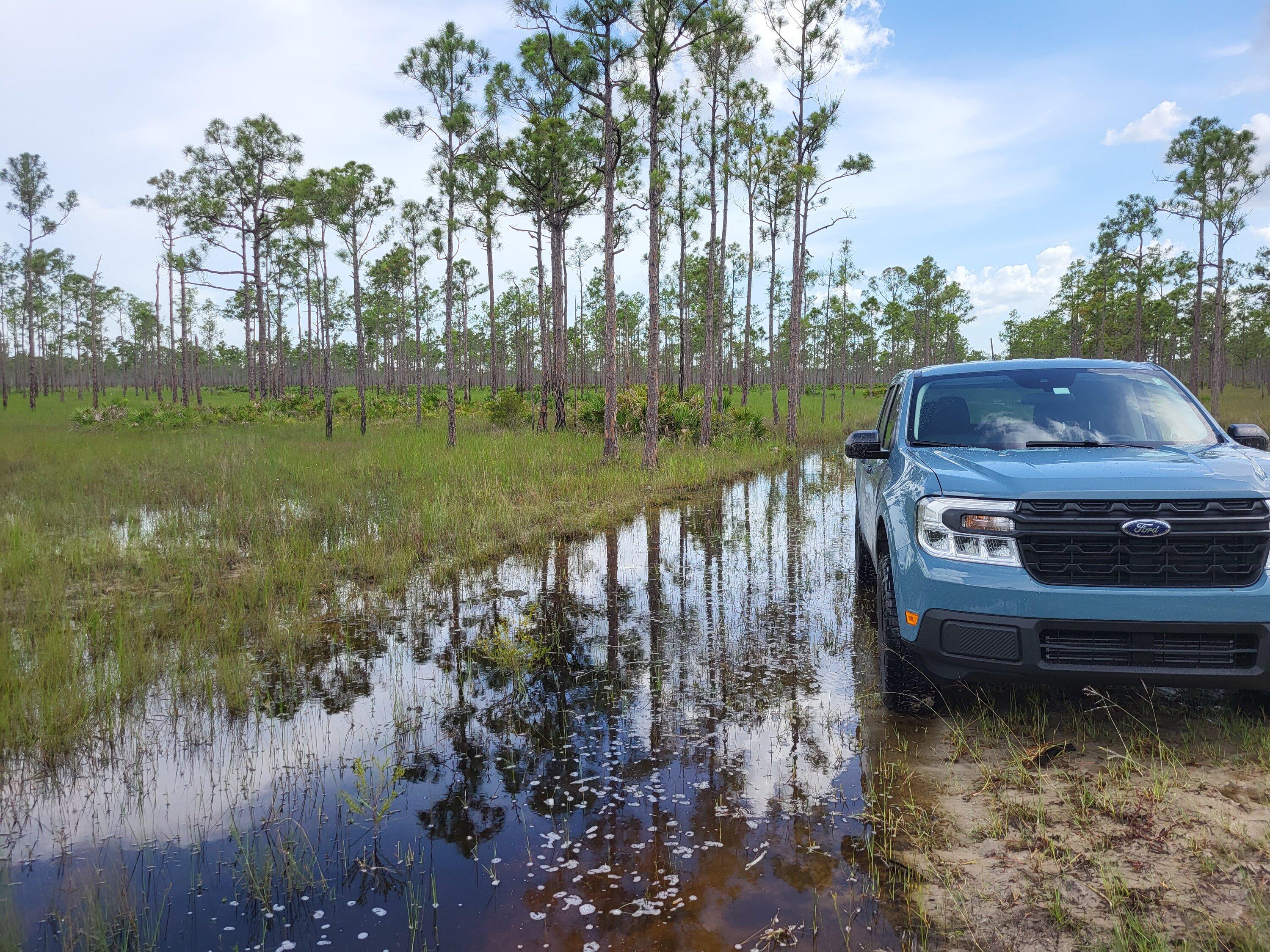 Ford Maverick Offroad exploring Florida Wetlands with Maverick XL 20220718_165417342796696164449144_large