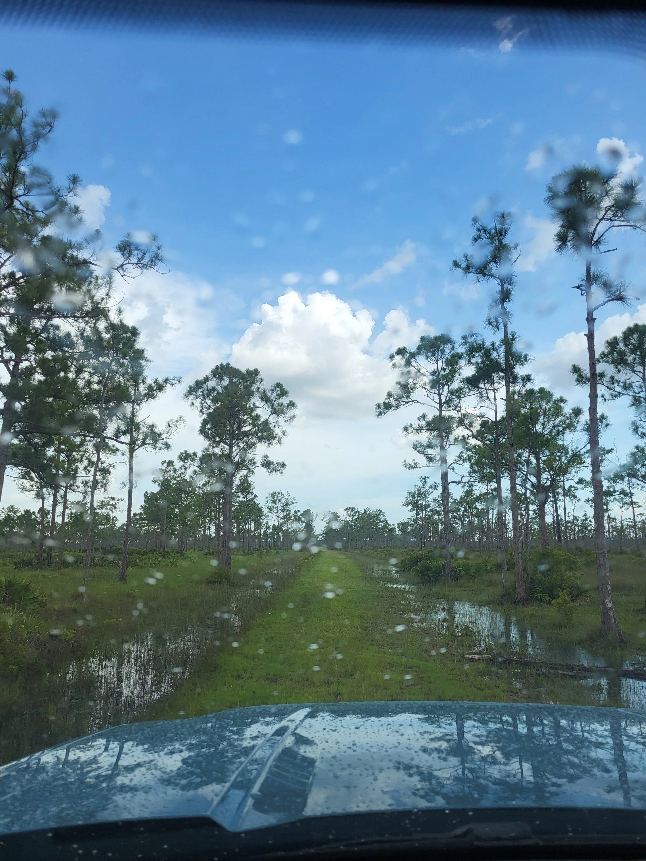Ford Maverick Offroad exploring Florida Wetlands with Maverick XL 20220718_1642137305616465330868421_larg