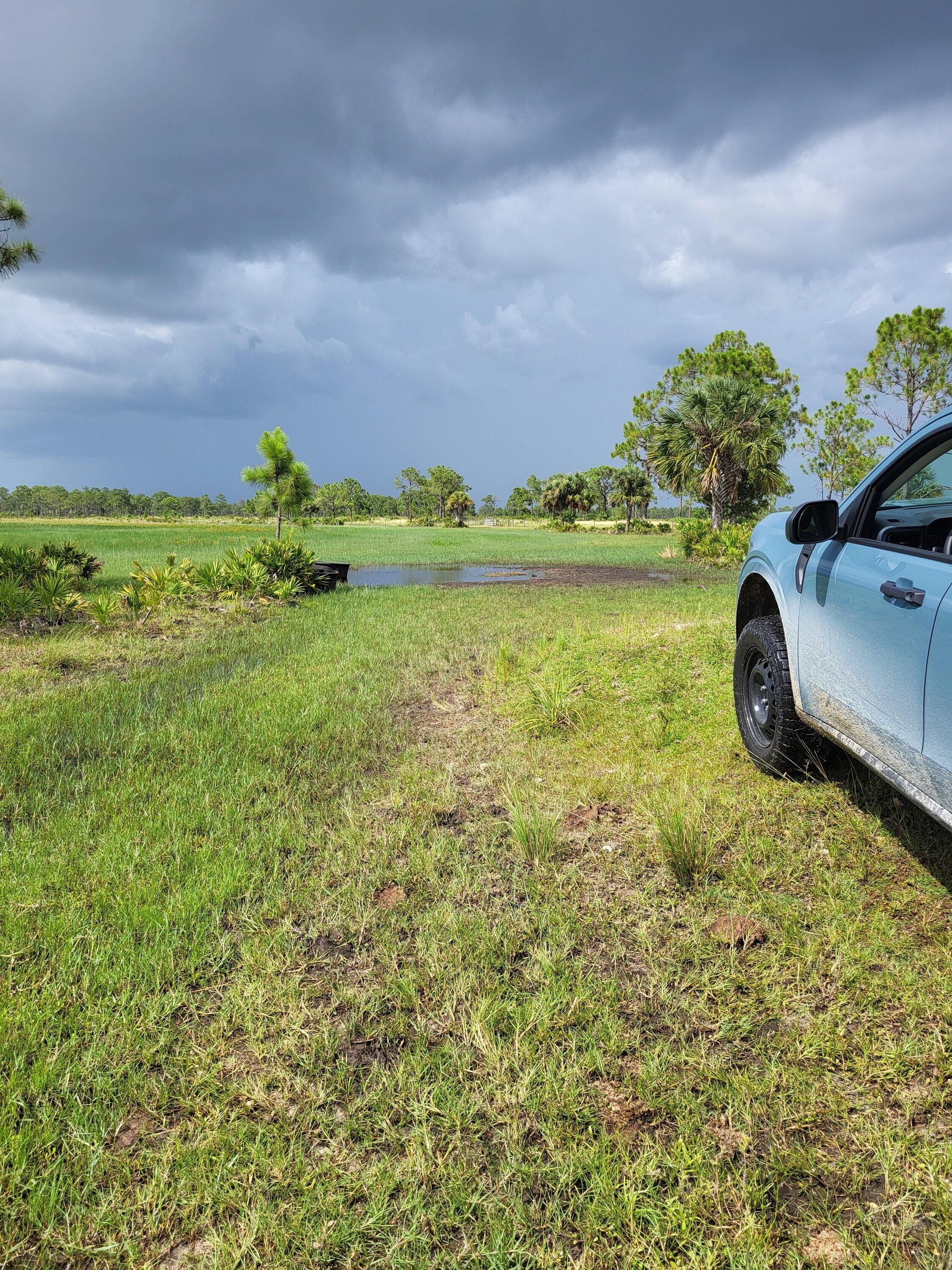 Ford Maverick Offroad exploring Florida Wetlands with Maverick XL 20220718_161921782161911854478258_large