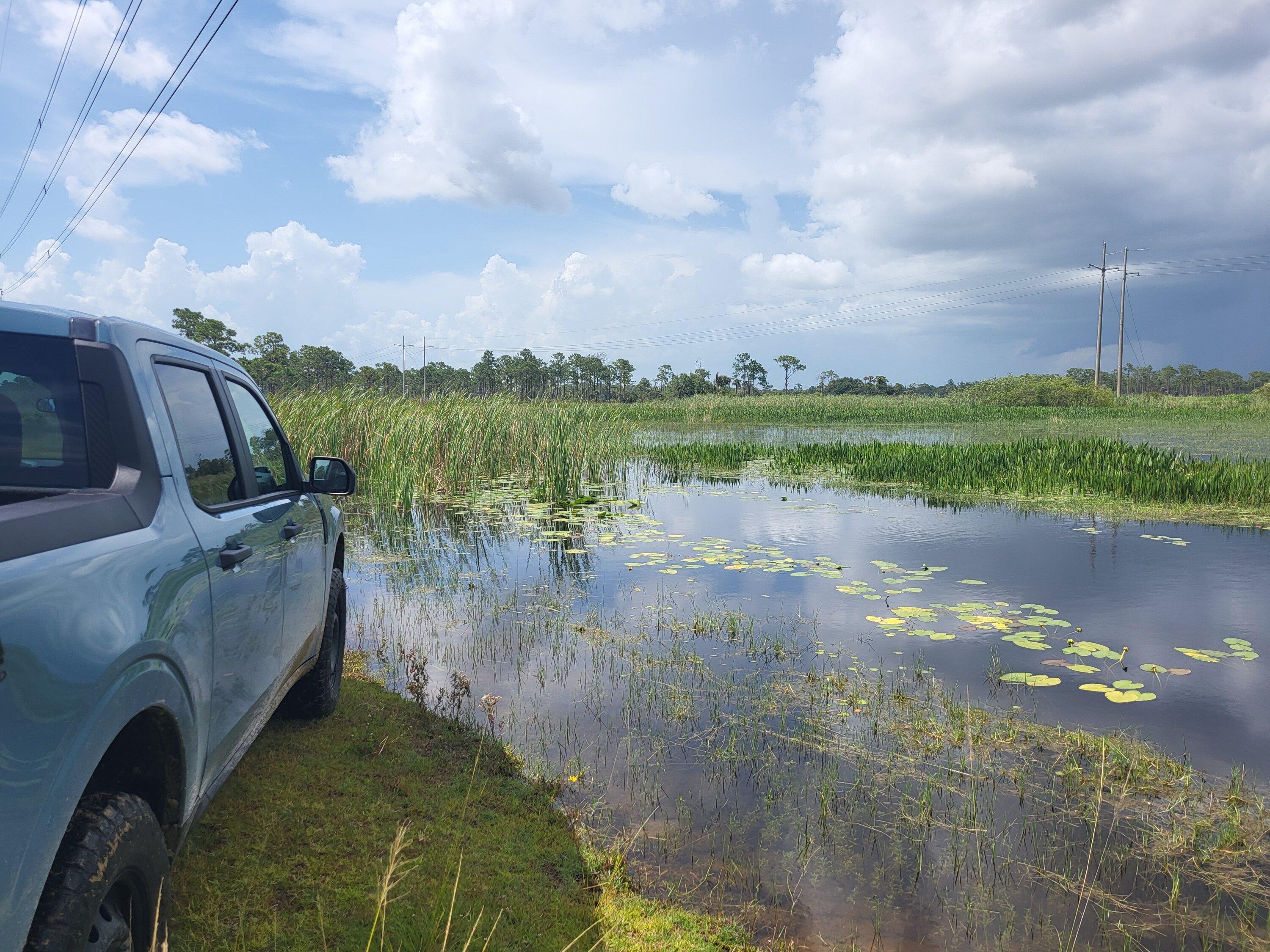 Ford Maverick Offroad exploring Florida Wetlands with Maverick XL 20220718_1605056552326280959446917_large