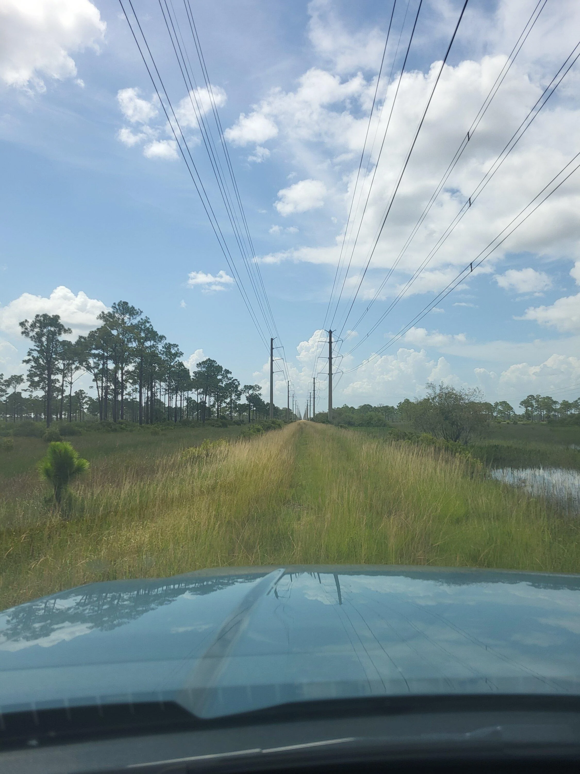 Ford Maverick Offroad exploring Florida Wetlands with Maverick XL 20220718_1553147006415012408146386_larg