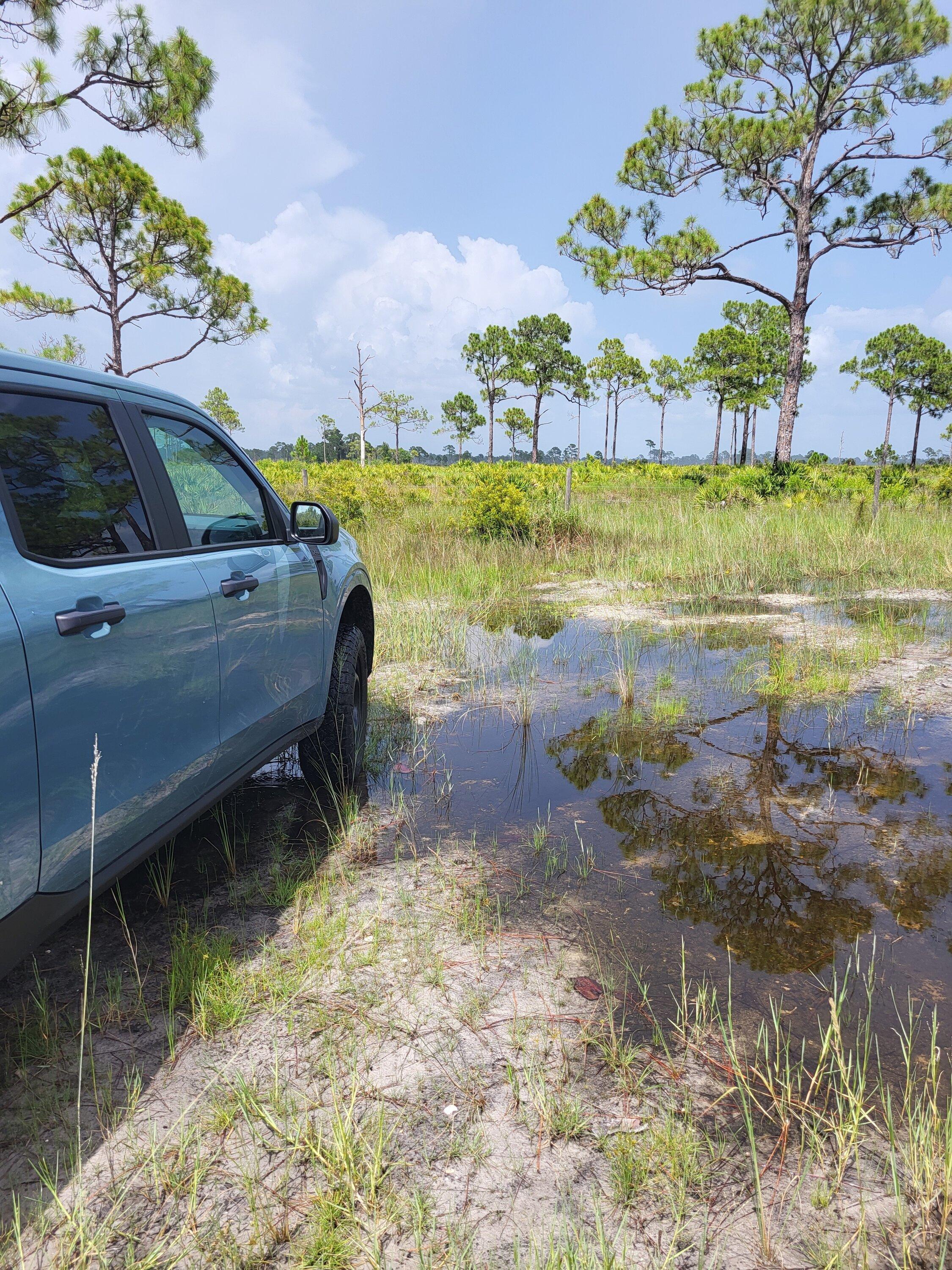 Ford Maverick Offroad exploring Florida Wetlands with Maverick XL 20220718_1534469058082337460408996_large