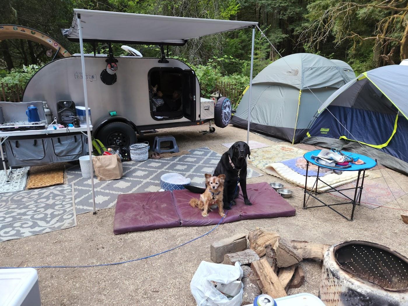 Ford Maverick An Ideal Camping Road Tripper. dogs