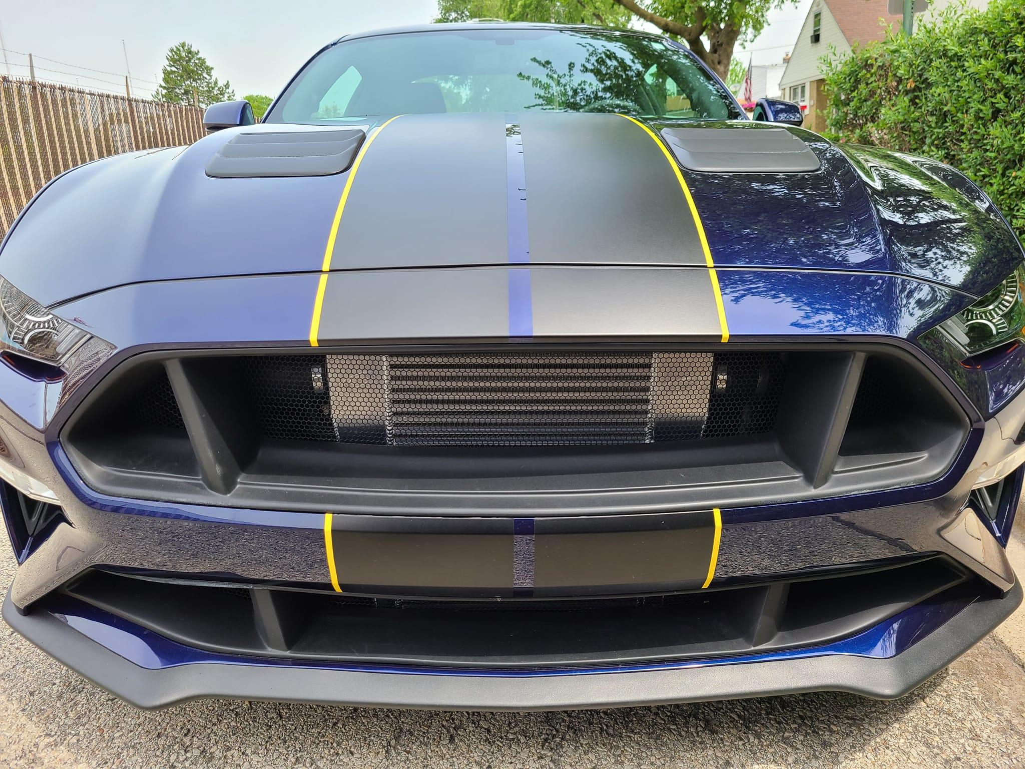 Ford Maverick Pinstriping - DIY or dealer or ? 205438224_10157699143301580_2938712310807294176_n