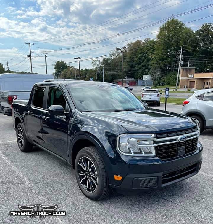 Alto Blue Maverick Lariat 2022 4.jpg