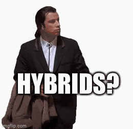 Ford Maverick Maverick Memes -  fun diversion while we wait [ ** NO POLITICS ** ] 63631DAF-2F46-4A28-9AFA-5CDDD2262CF9