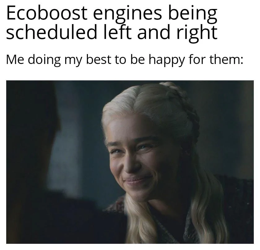 Ford Maverick Maverick Memes -  fun diversion while we wait [ ** NO POLITICS ** ] Daenerys Targaryen Squint 11092021014844