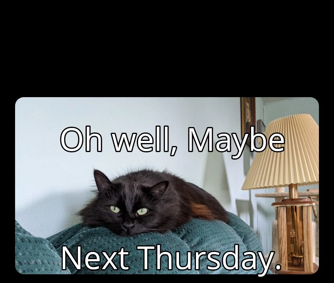 Ford Maverick Maverick Memes -  fun diversion while we wait [ ** NO POLITICS ** ] Angelique waiting