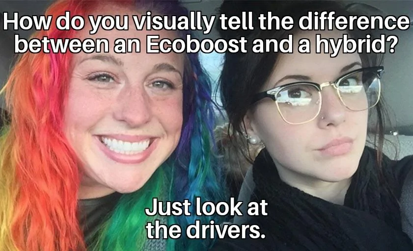 Ford Maverick Maverick Memes -  fun diversion while we wait [ ** NO POLITICS ** ] My Sister And I Are Polar Opposites 06082022003602
