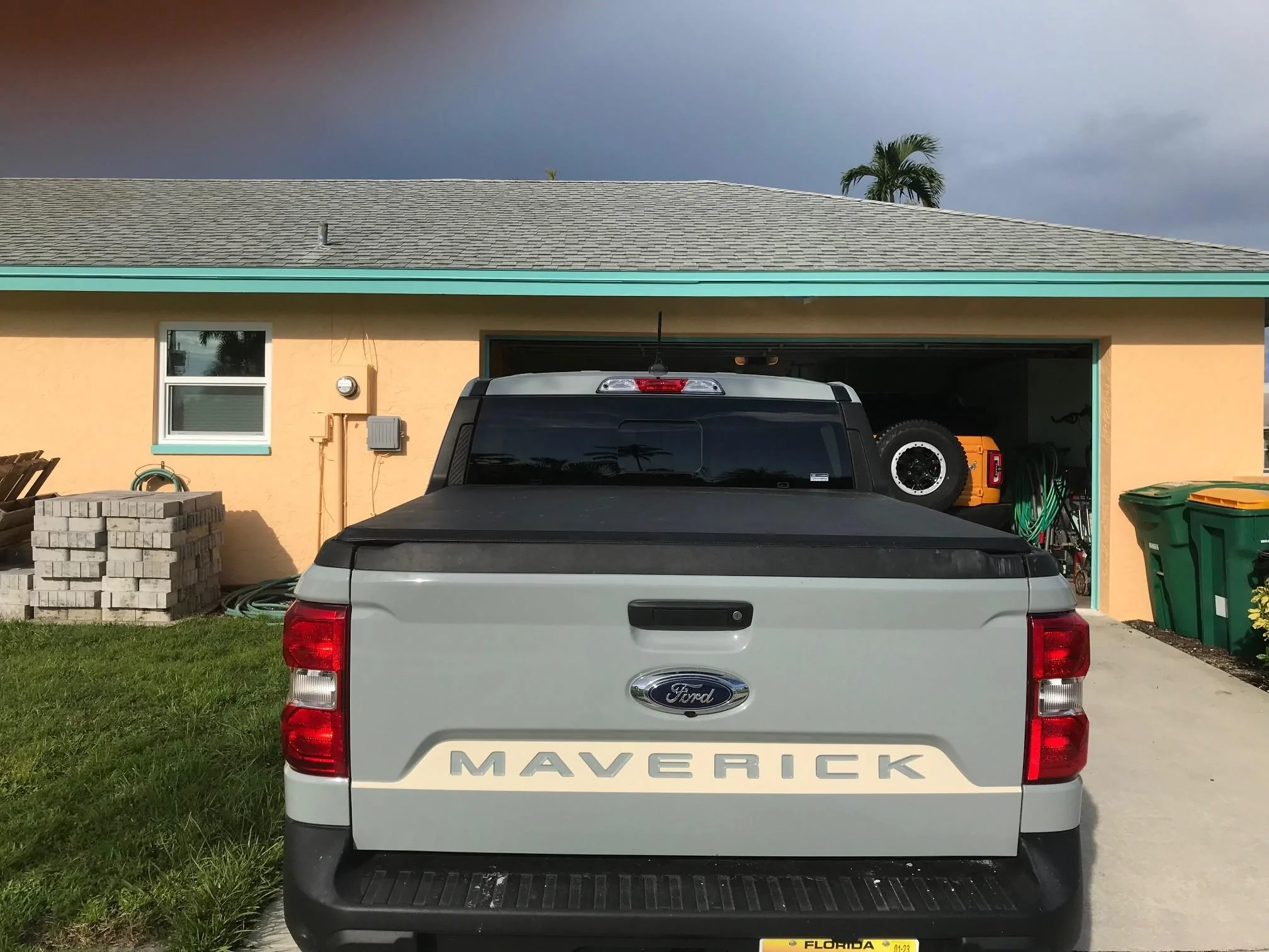 MAV Tail.jpg