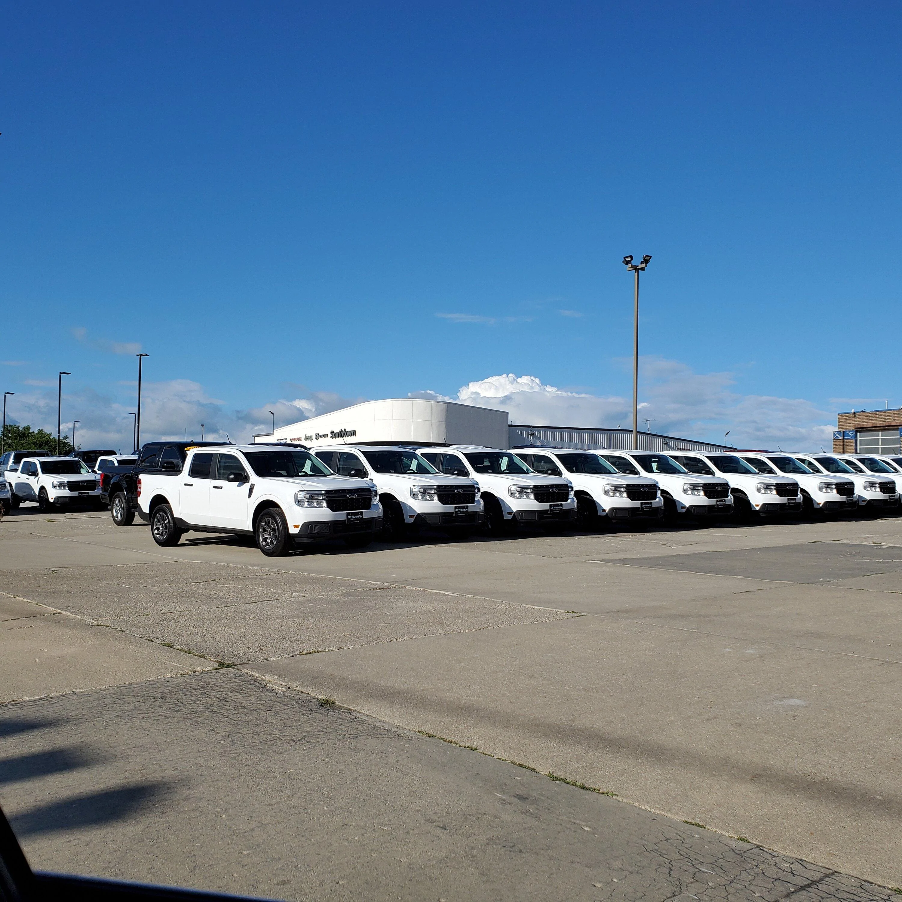 Ford Maverick A Herd of Mavericks Spotted 20220820_175350
