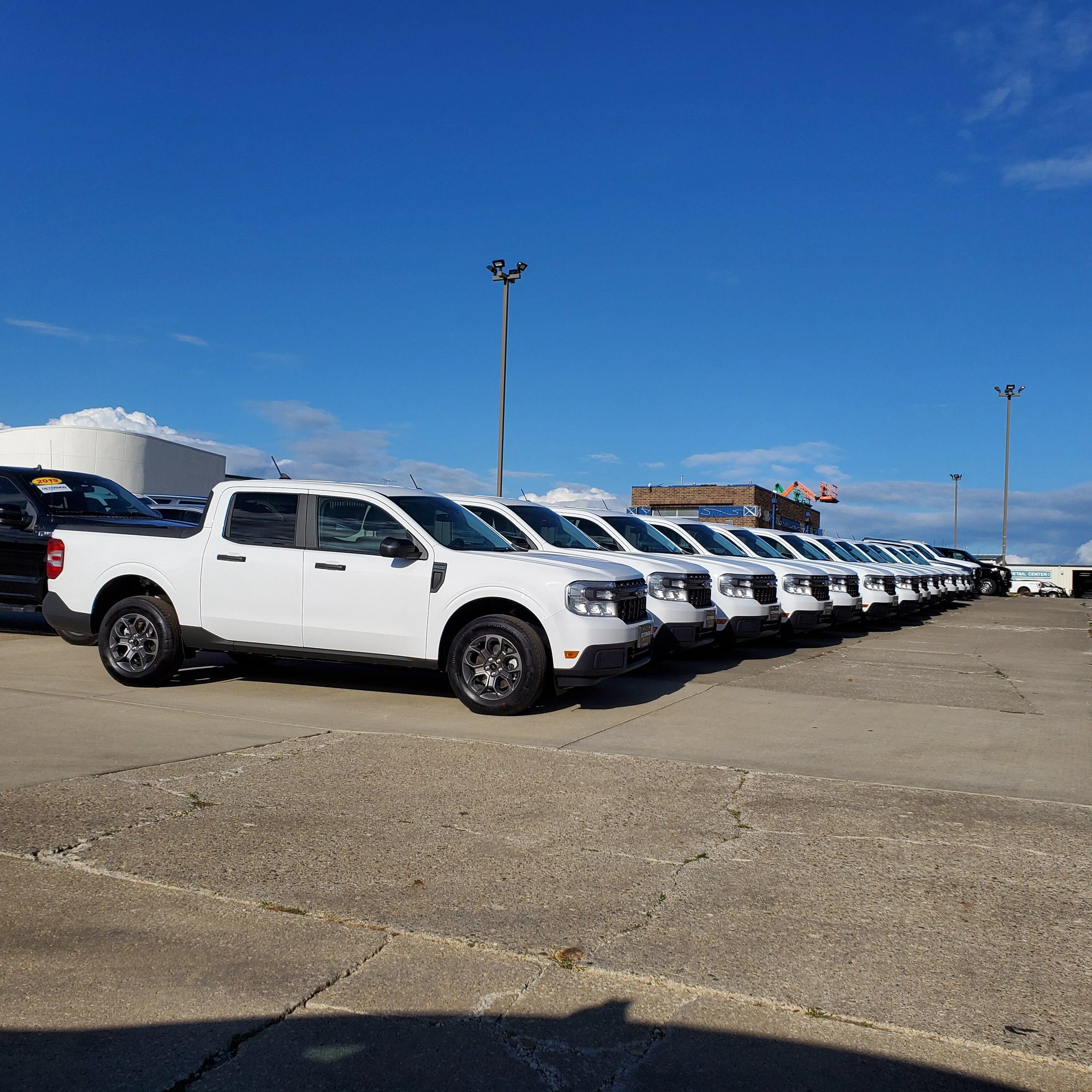 Ford Maverick A Herd of Mavericks Spotted 20220820_175326