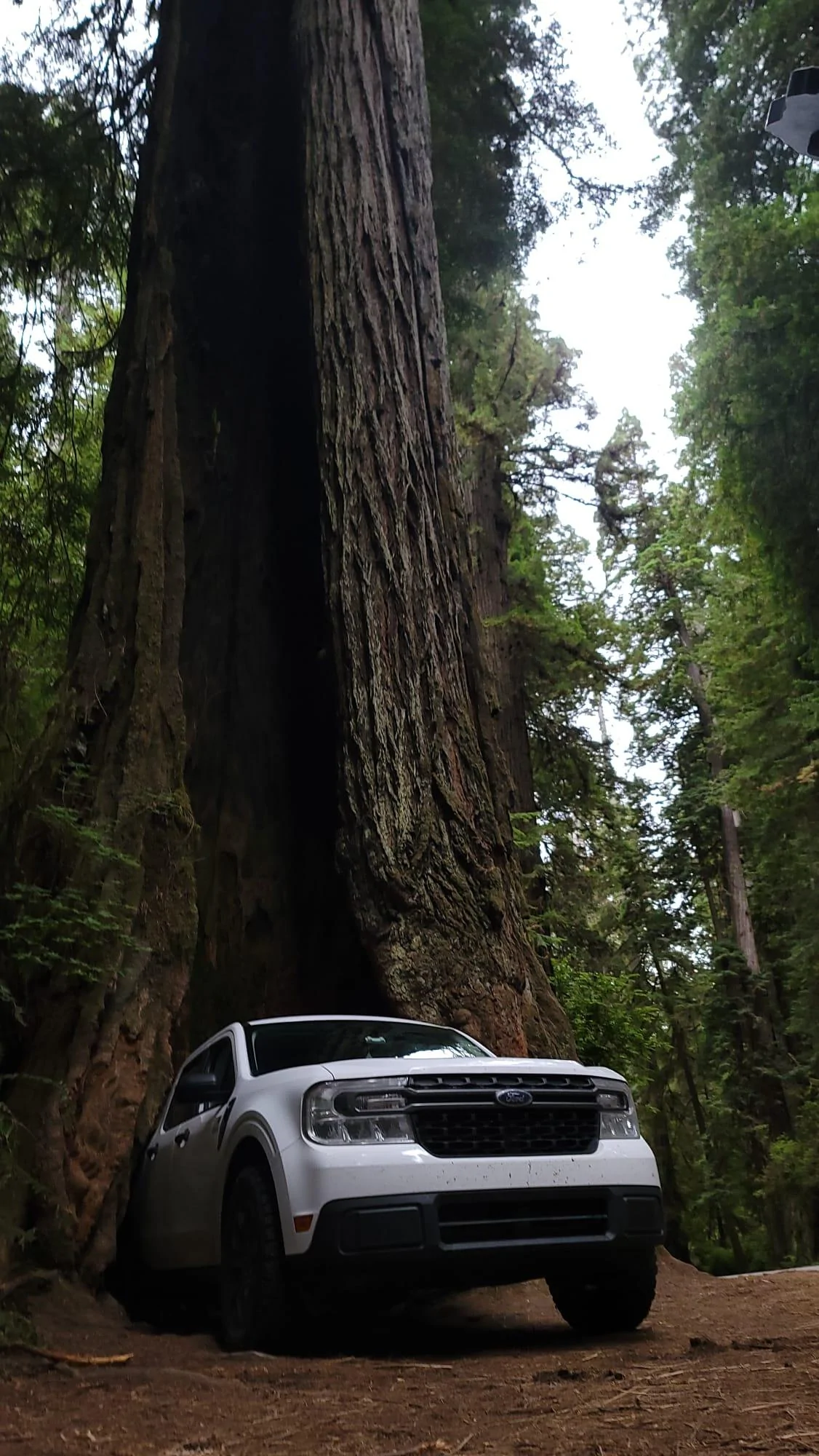 Ford Maverick Cross country trip and camping in our Maverick! IMG-20220825-WA0018