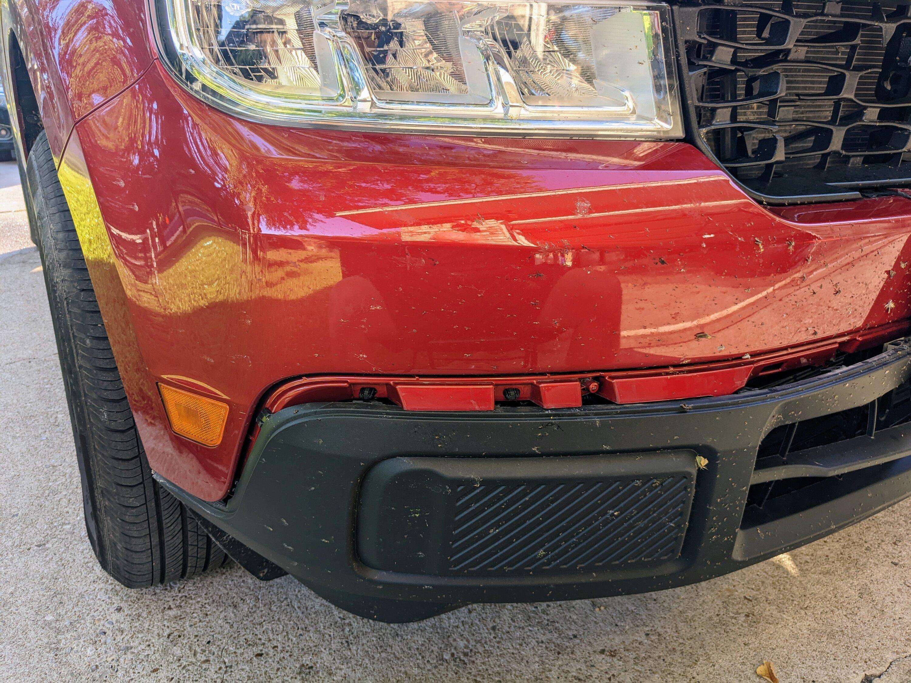 Ford Maverick Oh Deer Me PXL_20220916_131155820