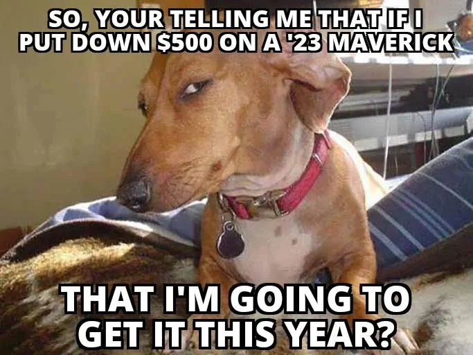 Ford Maverick Maverick Memes -  fun diversion while we wait [ ** NO POLITICS ** ] Side Eye Dog 19092022132341