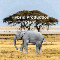 Ford Maverick Elephant in room: Around 80% of orders are Hybrids. DBD0AE34-B4BD-4105-9CE5-E45A138B06DA