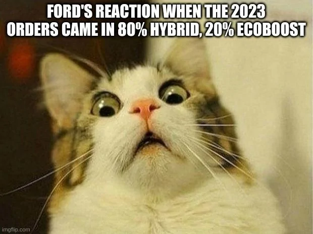 Ford Maverick Maverick Memes -  fun diversion while we wait [ ** NO POLITICS ** ] 6ud9h