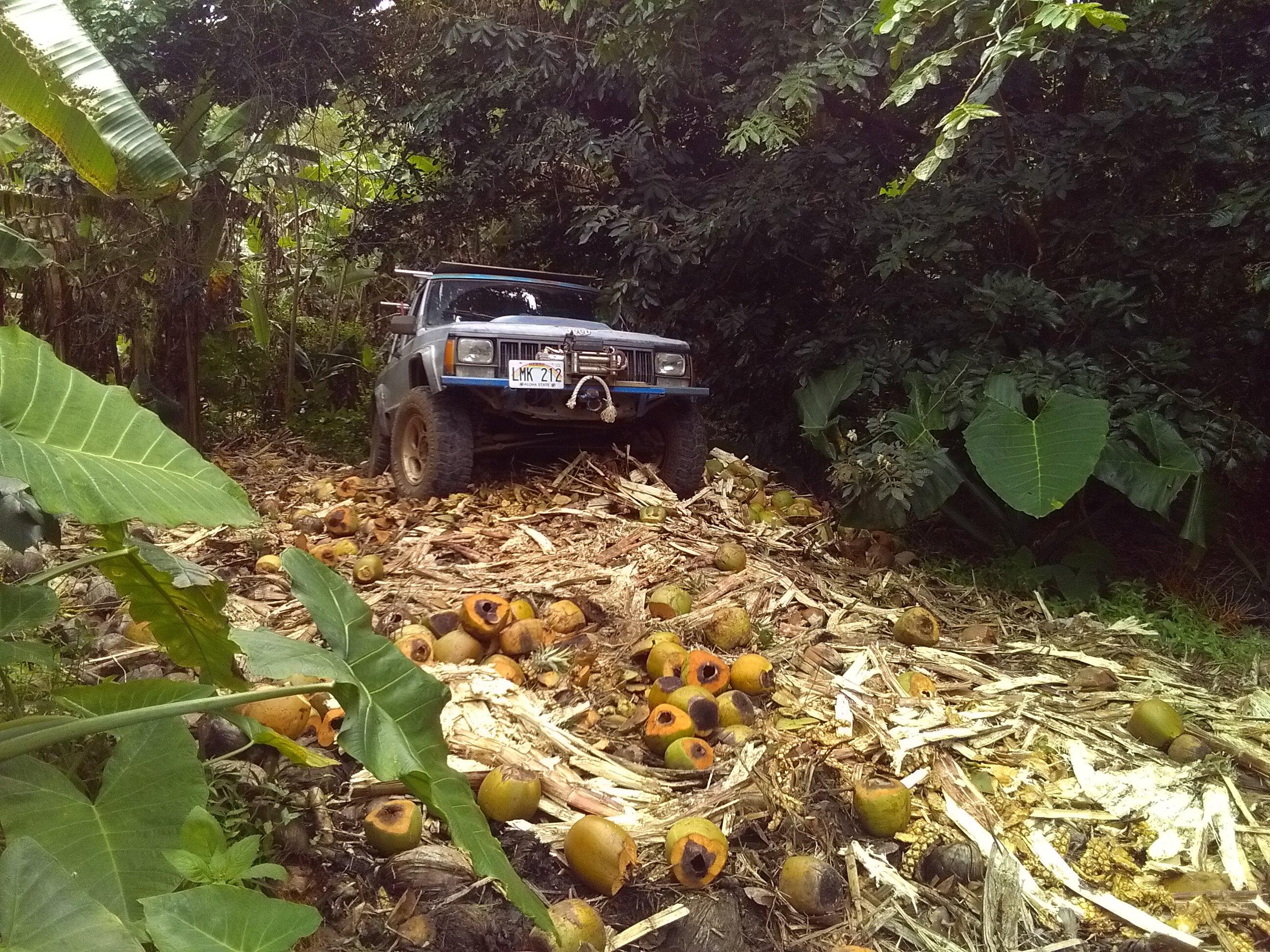 Ford Maverick Fx4 + 4k tow vs Tremor KIMG0161.JPG