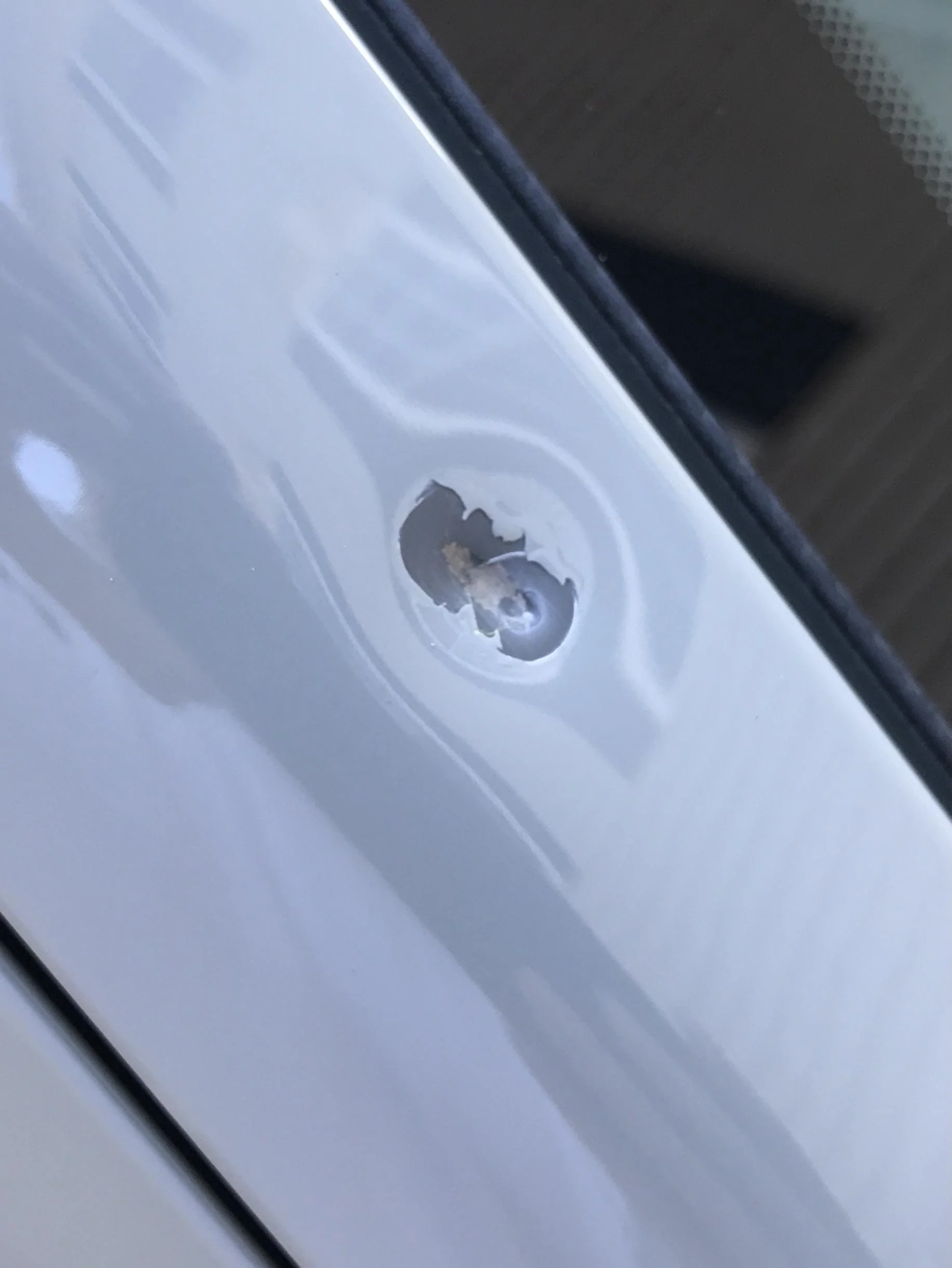 Ford Maverick Rock chip / Paint chip repair? IMG_9981
