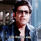 Ford Maverick No Terrible Tuesday Reschedule? giphy