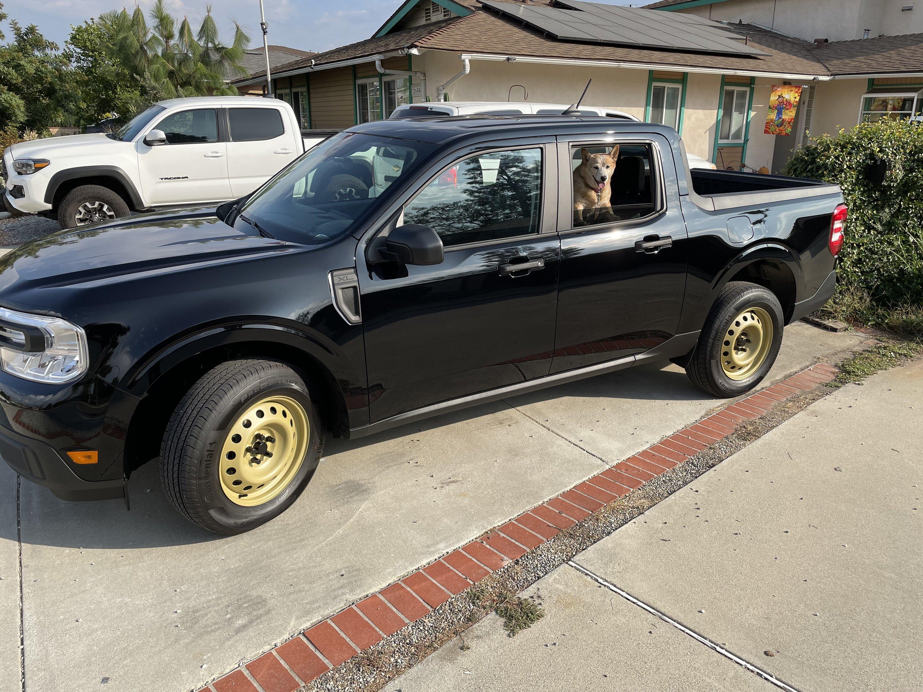 Ford Maverick Powder coated my steelies matte yellow olive (photos) IMG_3822