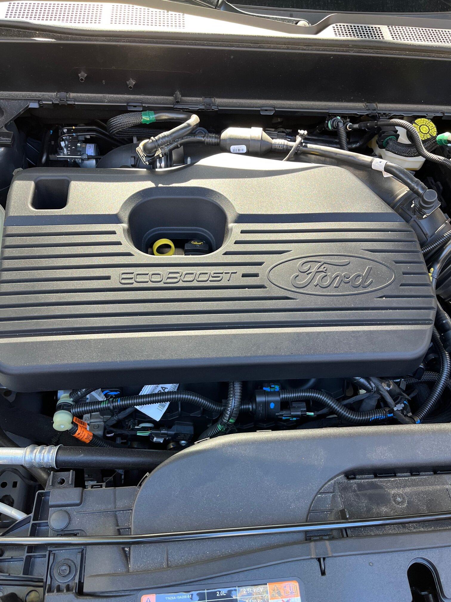 Ford Maverick Long Island NY -  Maverick Meet Up - October 2022 cover eco boost