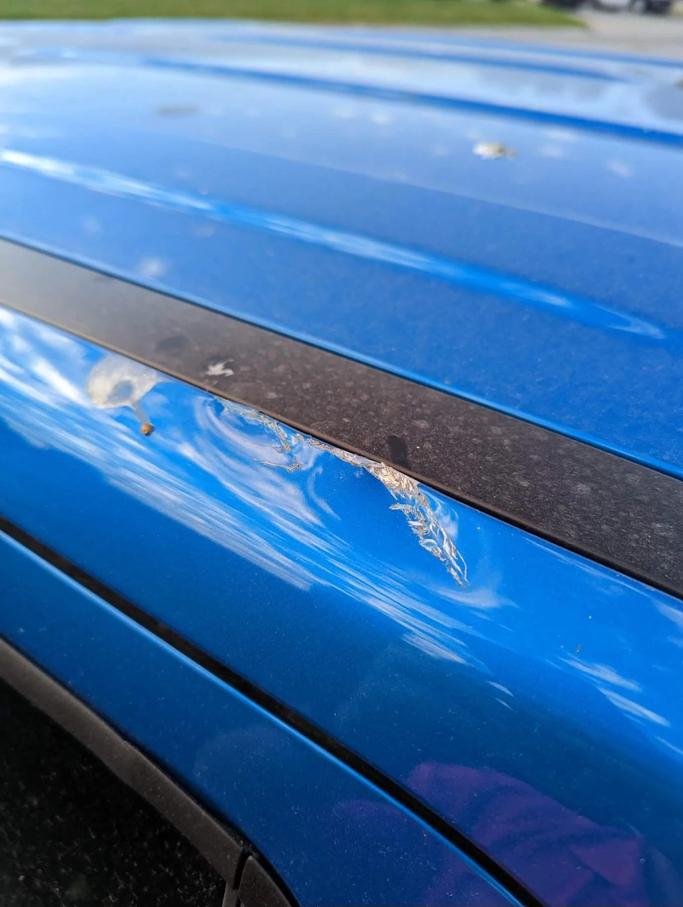 Ford Maverick Damaged by transport 35605B85-0FC3-4A9B-B9AF-5E6B8507FBD4