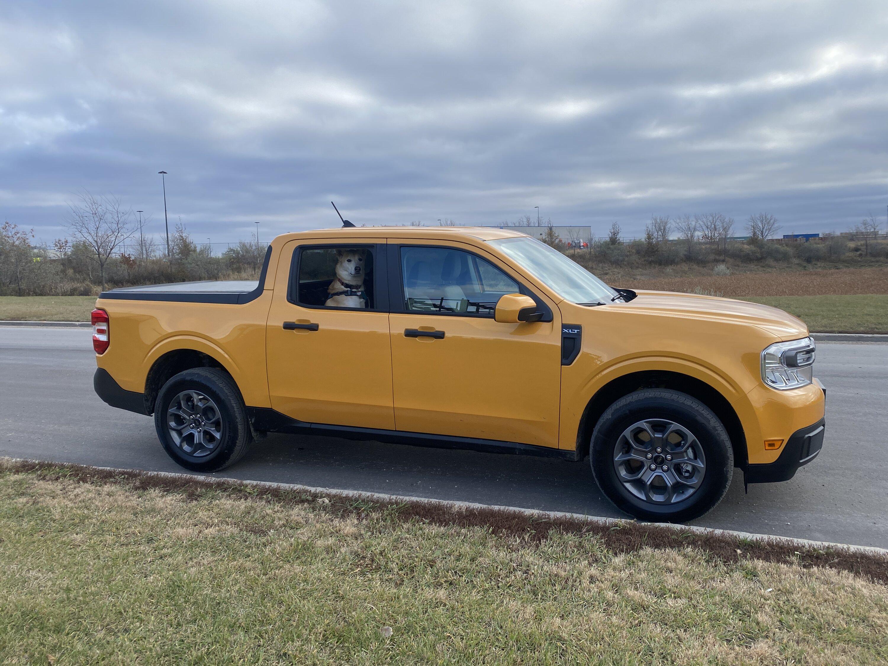 Ford Maverick CYBER ORANGE Maverick Photos Thread 13F90CEE-89D9-4EAA-B4E0-C101C655FDC4