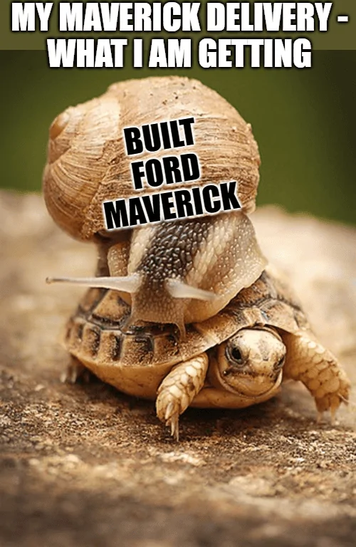 Ford Maverick Maverick Memes -  fun diversion while we wait [ ** NO POLITICS ** ] download (20)