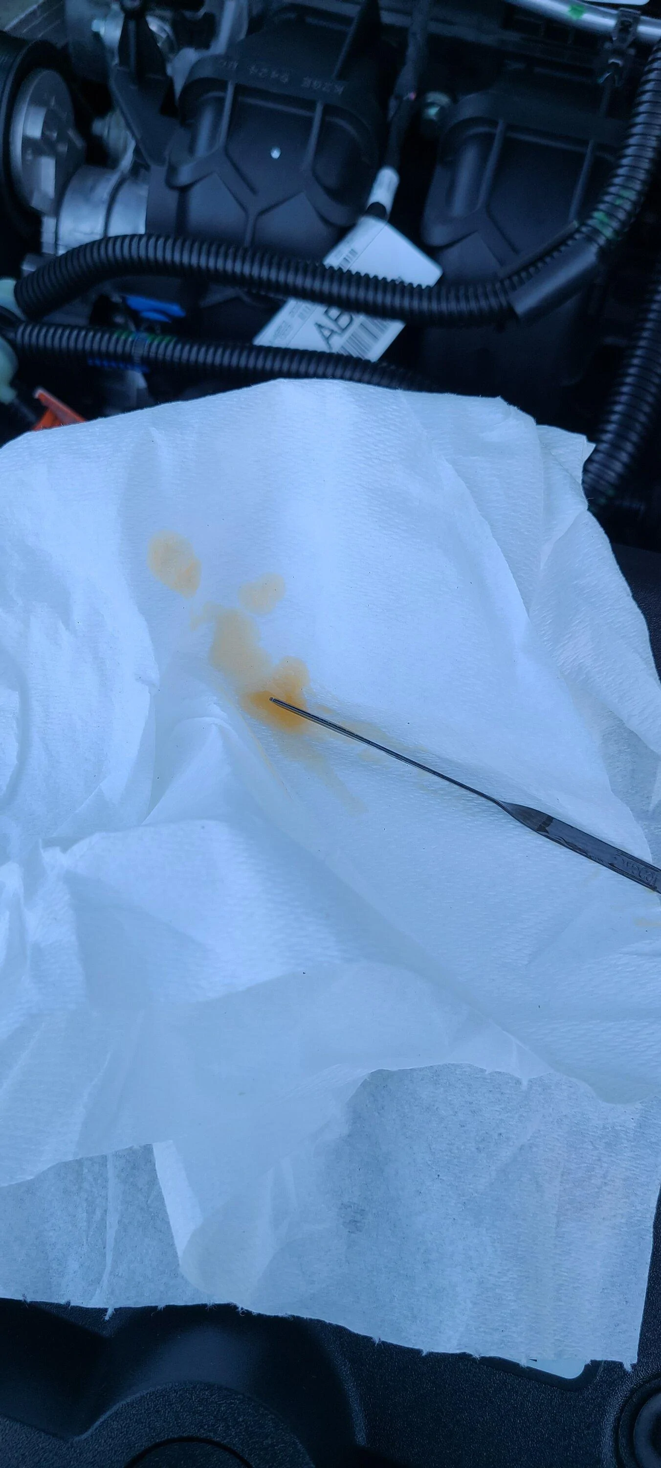Ford Maverick Factory oil color is orange? 20221103_080150