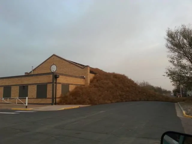 Ford Maverick pre collision assist tumbleweeds