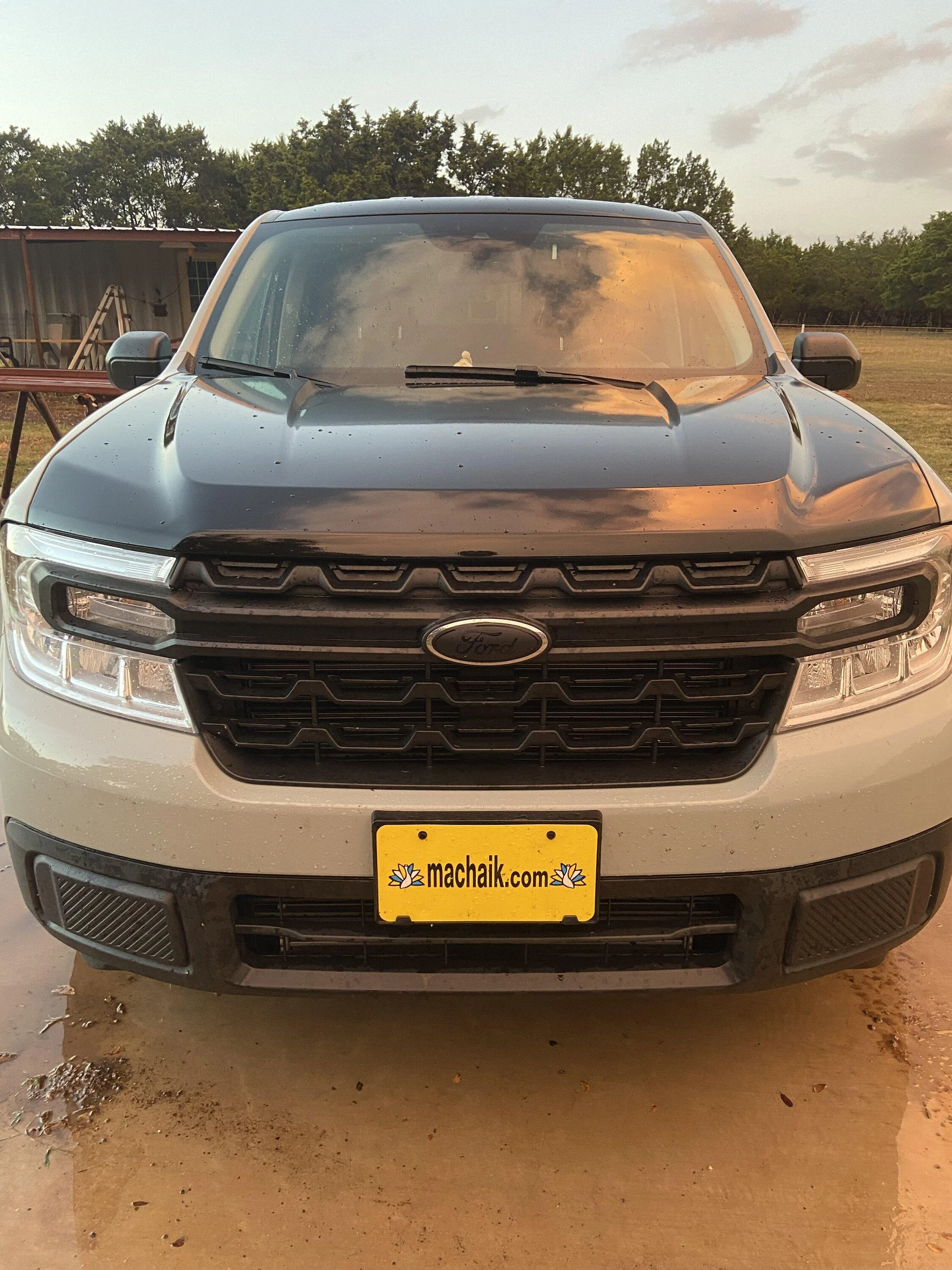 Ford Maverick CACTUS GRAY Maverick Photos Thread 85330DEC-F934-42E5-BBF3-2A2FDC382B6B