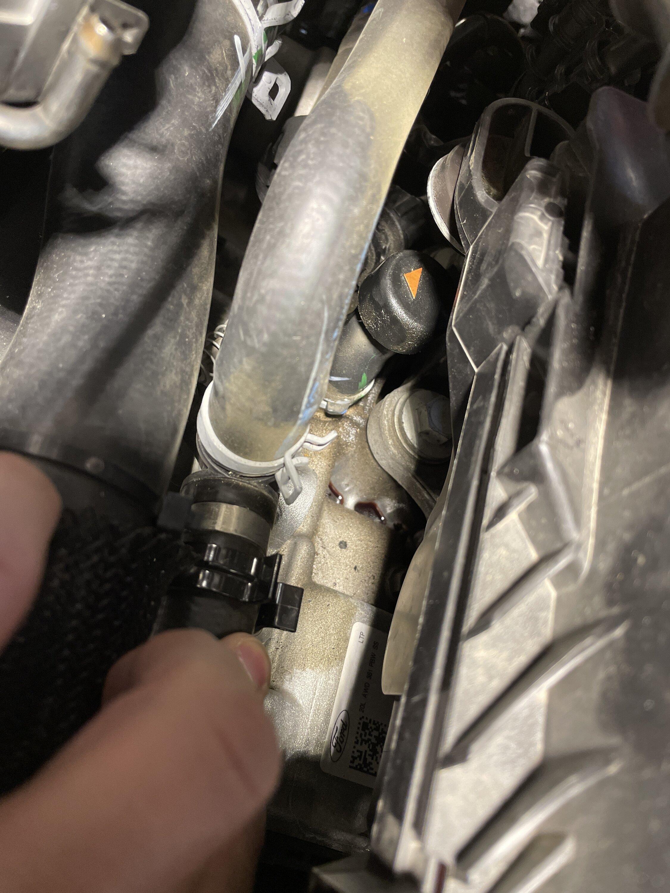 Ford Maverick Oil leak? image