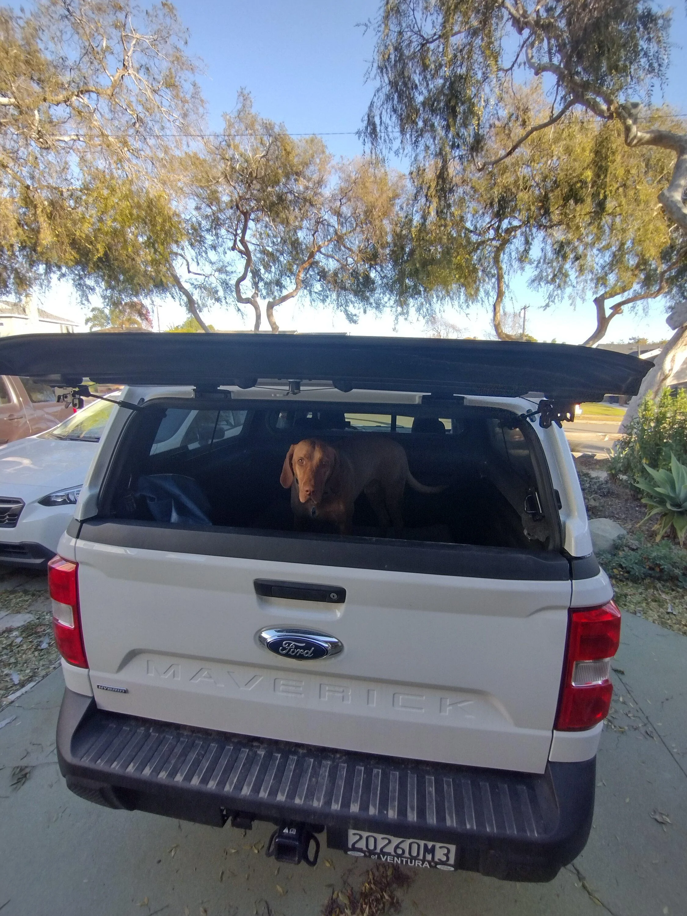 Ford Maverick Installed Maverick Snug Top Shell w/ Racks - Form vs Function. My review IMG_20221119_151425970_HDR