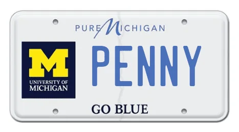 Ford Maverick Personal license plates / vanity plate for your Maverick?? 1669122423530