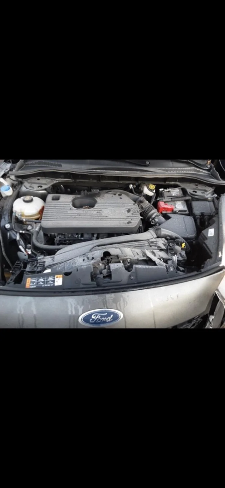 Ford Maverick Engine cover for 2.0L now discontinued? 9A09ADCB-5F00-443A-A1A4-3EE8FB9F5067