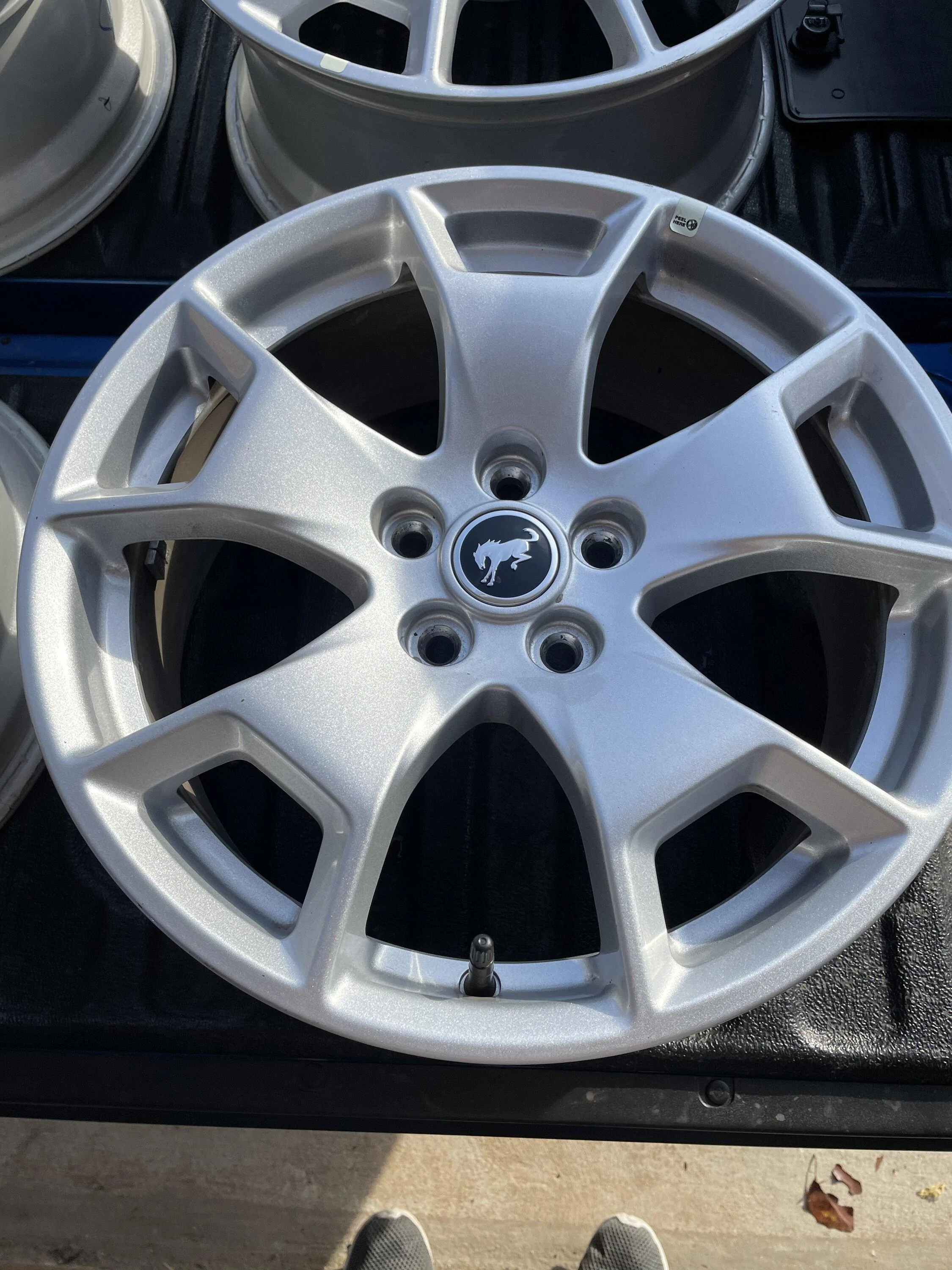 Ford Maverick Bronco sport wheels 300.00 B11519DE-91E3-4B7B-9C3B-35D7BAD90085