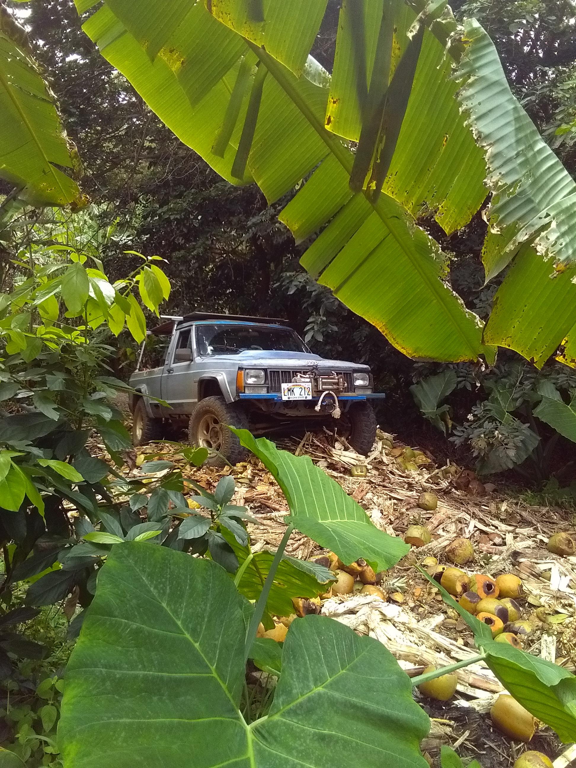 KIMG0159.JPG