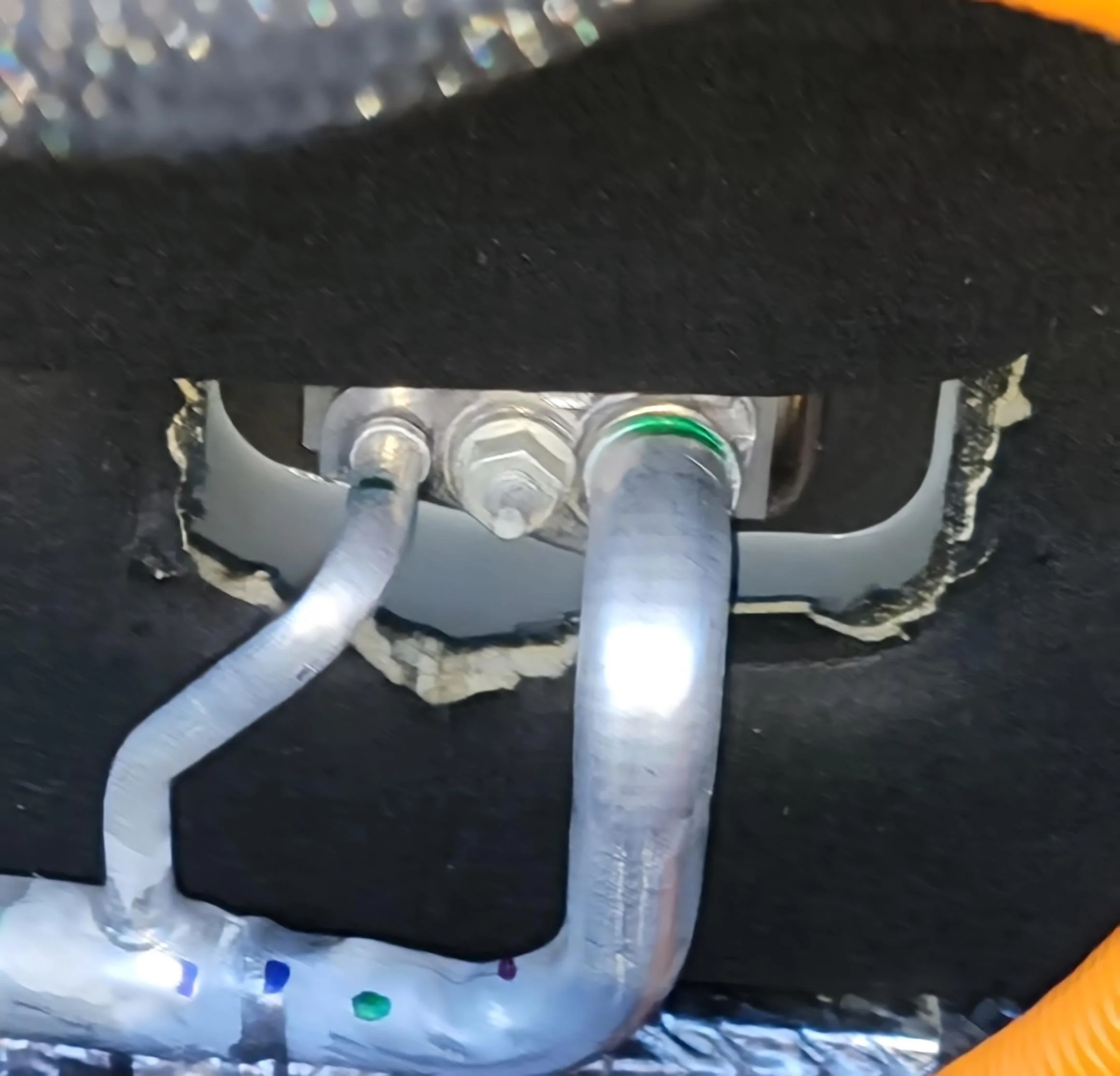 Ford Maverick Help please. Rodent damage. 20221210_094609