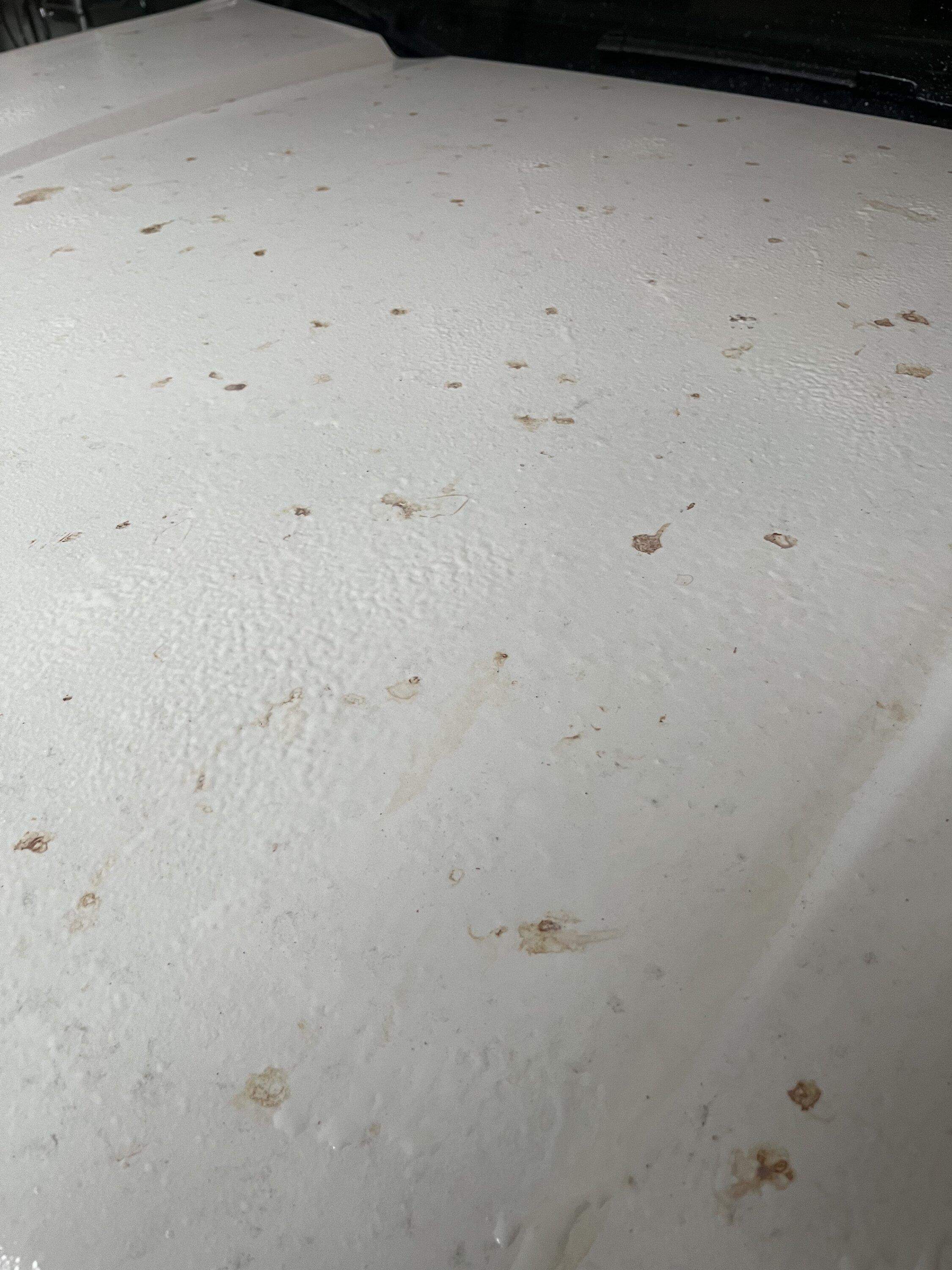 Ford Maverick How do I get these Leaf Stains off safely ? 3A6D2A69-767F-477B-8813-B5F5D68CB283