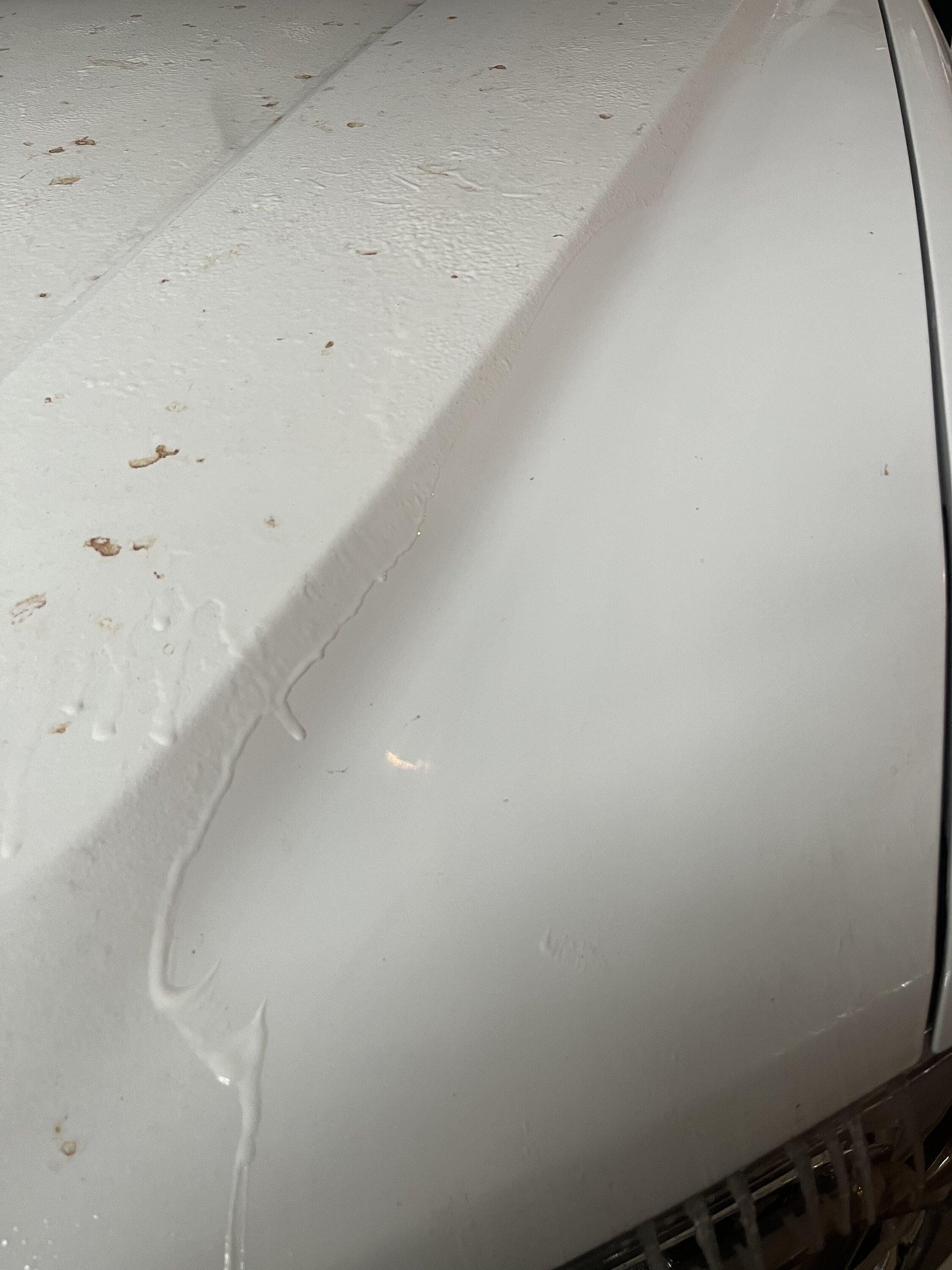 Ford Maverick How do I get these Leaf Stains off safely ? 050AE9B6-5A53-4BF7-BDC9-DAFFB84B4A9F